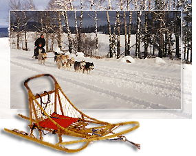 dog sledding