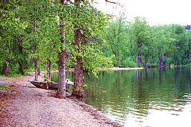 Beach at Mahood Lake Provincial Park