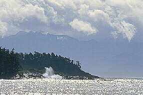 East Sooke